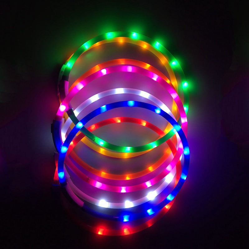 Glowing Pet Collar with USB Charging