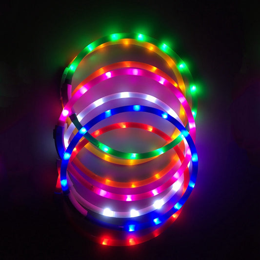 Glowing Pet Collar with USB Charging