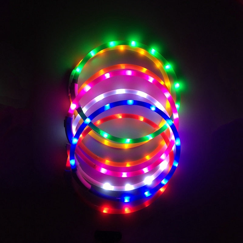 Glowing Pet Collar with USB Charging