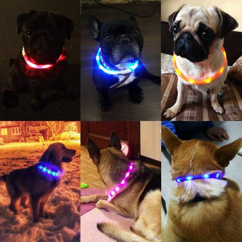 Glowing Pet Collar with USB Charging