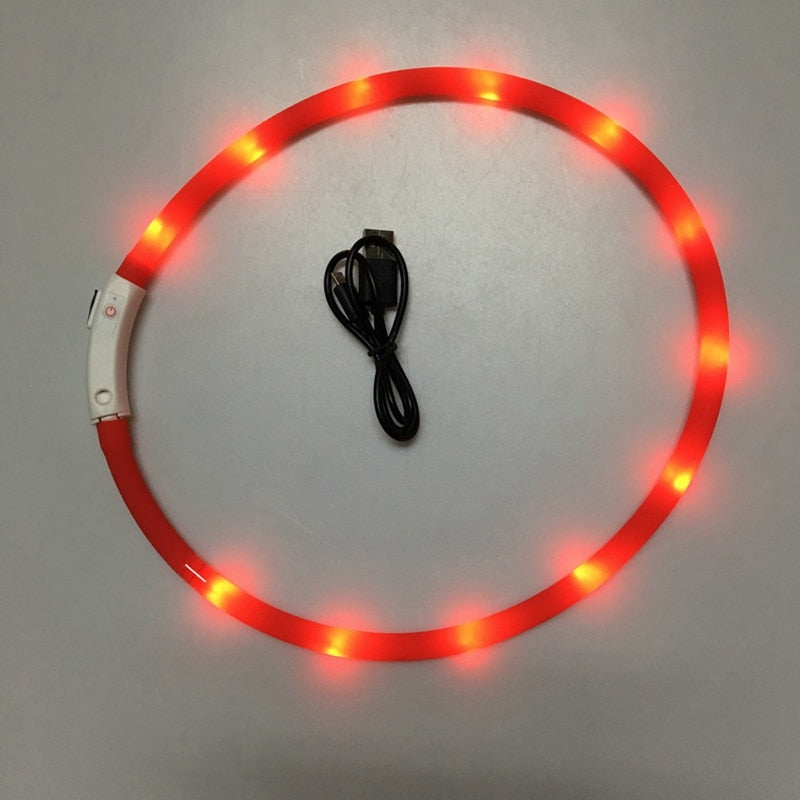 Glowing Pet Collar with USB Charging