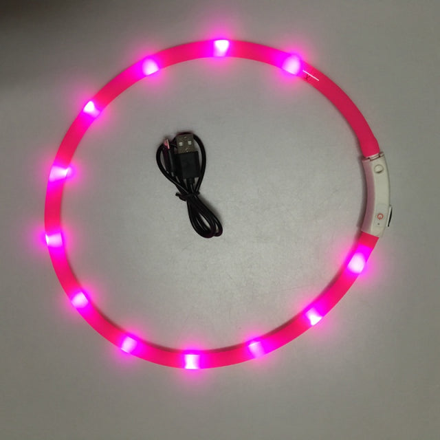 Glowing Pet Collar with USB Charging